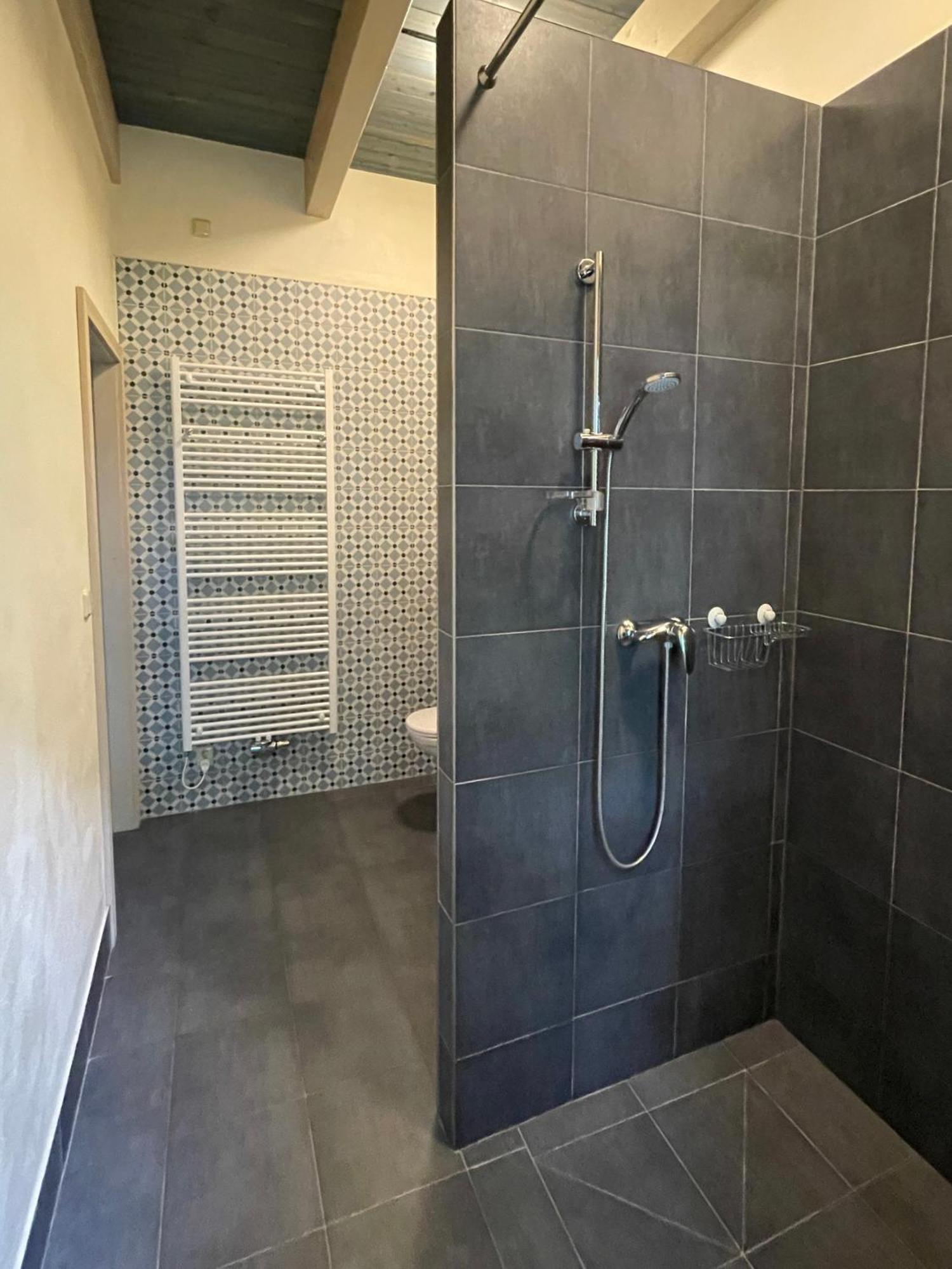 Apartmany Modrinovy Dum Horní Planá Rum bild