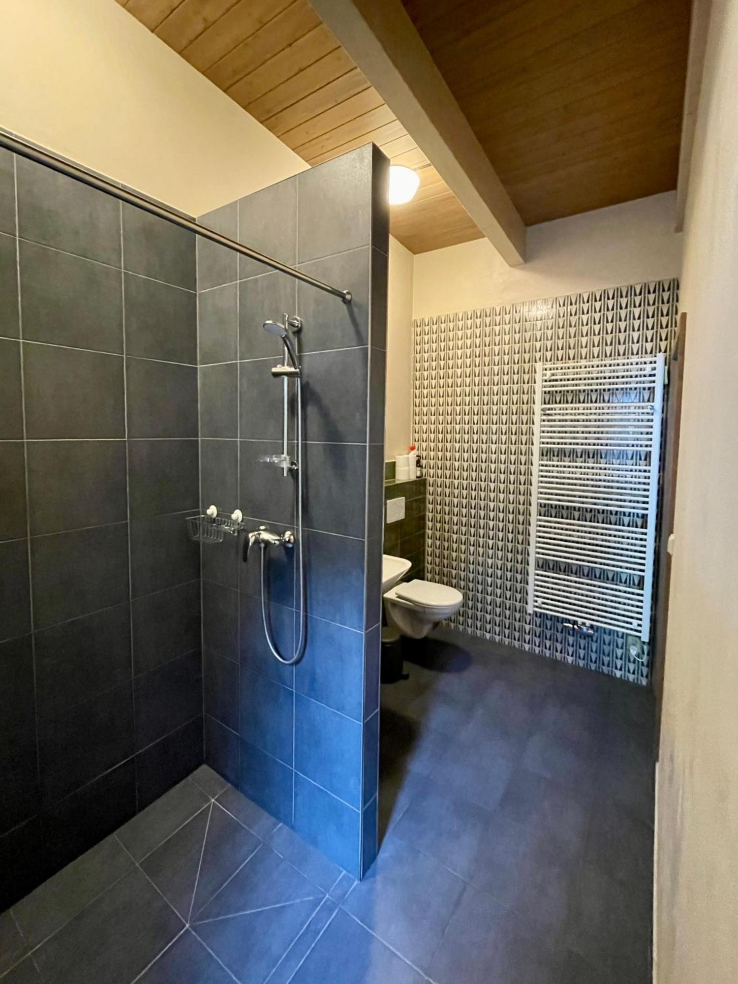 Apartmany Modrinovy Dum Horní Planá Rum bild